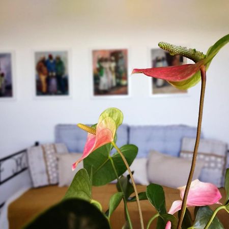 Casa Arte De Sorvilán 외부 사진
